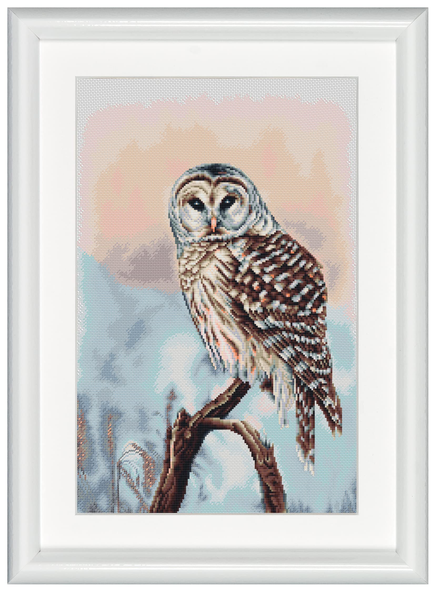DUTCH STITCH BROTHERS - Counted Cross Stitch Kit - DSB014A - Owl - White Aida - 15.8 x 10.2 Inch - Embroidery Kit for Adults