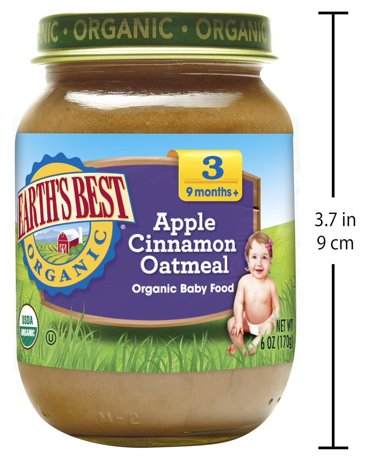 apple cinnamon oatmeal for babies