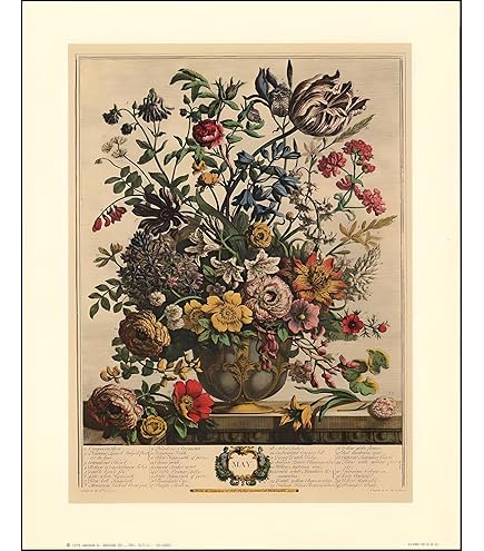 Amazon.com: Robert Furber - Twelve Months of Flowers 1730/May Art