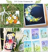 Rhykoka Large Flower Press Kit 10 Layers 30 x 21 cm Wood Cards DIY Art view 7