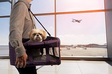 airline approved pet carrier for large dogs