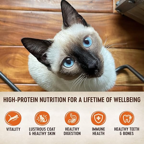 WELLNESS CORE TINY TASTERS PATE ADULT WET CAT FOOD, NATURAL, PROTEIN-RICH, GRAIN FREE, 1.75-OUNCE POUCH, 12 PACK, (LAND VARIETY PACK)