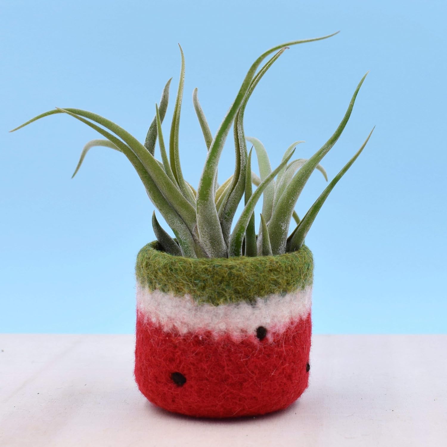 Amazon Com Felt Vase Cactus Vase Watermelon Planter Red