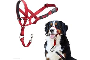 Company of Animals HALTI Headcollar - to Stop Your Dog Pulling on The Leash. Adjustable, Reflective and Lightweight, with Padded Nose Band. Dog Training Anti-Pull Collar for Large Dogs (Size 4, Red)