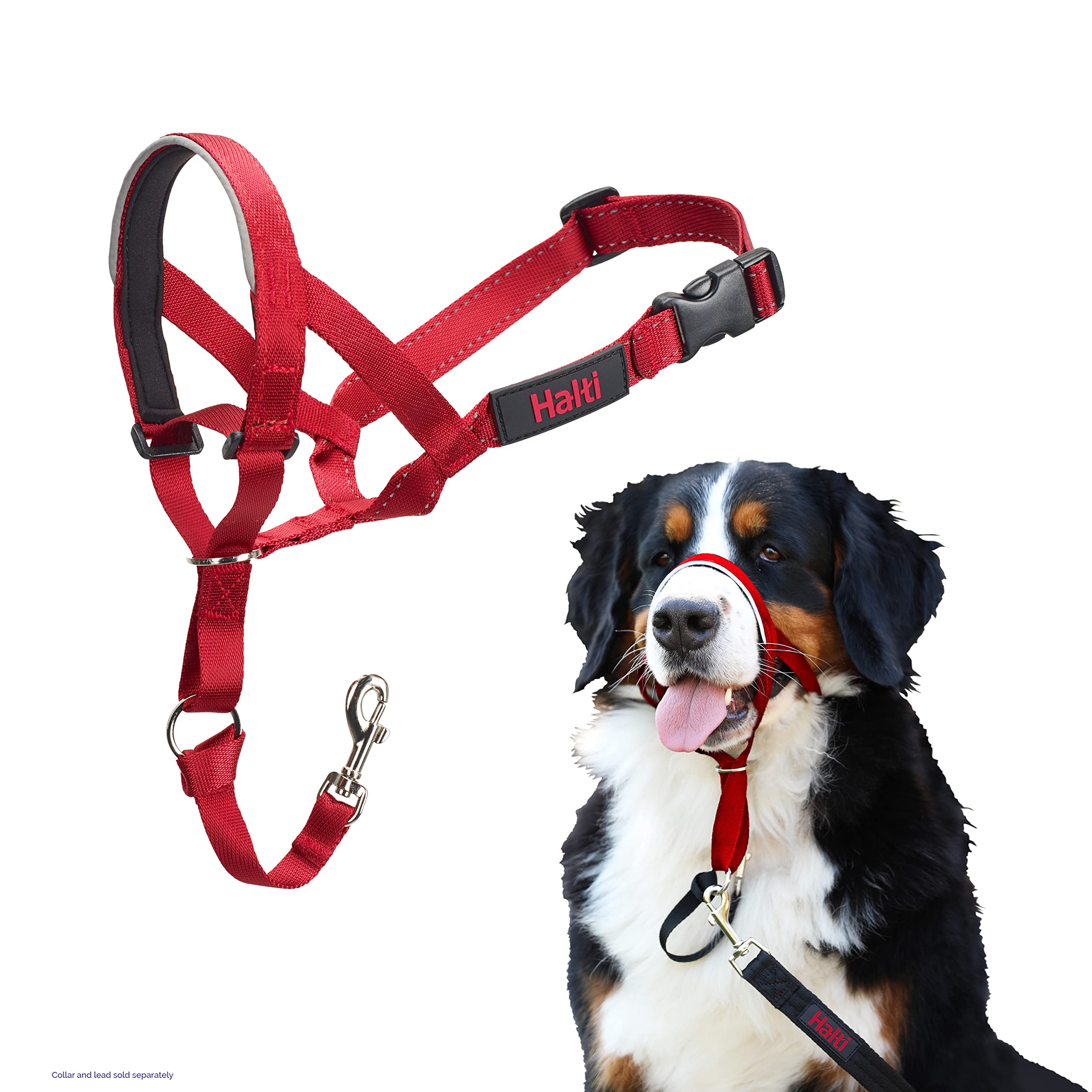 Halti Headcollar - Stop Your Dog Pulling on the Lead. Adjustable, Reflective and Lightweight, with Padded Nose Band. Dog Training Anti-Pull Collar for Large Dogs (Size 4, Red)