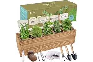 ROOTCRAFT 5 Herb Garden Planter Indoor with Wooden Box, Home Kitchen Seed Starter Kit Including Basil, Thyme, Parsley, Rosemary, Mint, Birthday, Mothers Day, House Warming, Gardening Gifts for Women, Mom