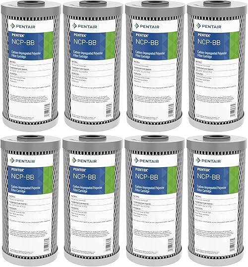 Pentair Pentek NCP-BB Big Blue Carbon Water Filter, 10-Inch, Whole House Non-Cellulose Carbon Impregnated Pleated Filter Cartridge, 10" x 4.5", Pack of 8, Gray