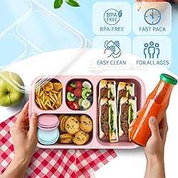 Bento Box for Adults and Snack Containers Set of 4