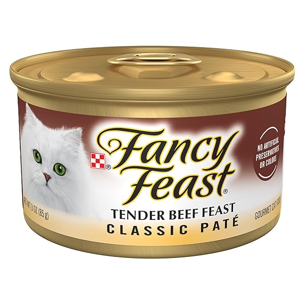 PURINA FANCY FEAST TENDER BEEF FEAST CLASSIC GRAIN FREE WET CAT FOOD PATE – (PACK OF 24) 3 OZ. CANS