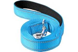 Erbine 6FT Reflective Nylon Dog Leash with Soft Padded Handle for Walking, Running and Training, Supports Small Medium and Large Dogs (Auqa Blue, 3/4Inch Wide)
