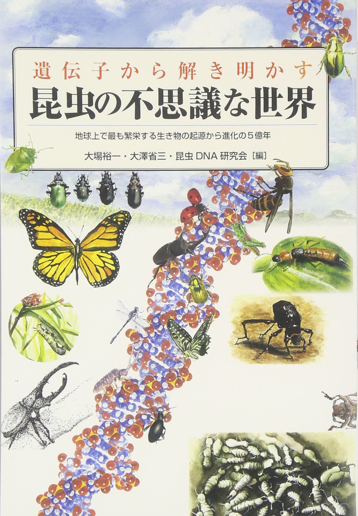 遺伝子から解き明かす昆虫の不思議な世界 大場裕一 大澤省三 昆虫dna研究会 本 通販 Amazon
