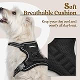rabbitgoo Dog Harness Small No Pull Front Back Clip Adjustable Reflective XS view 3