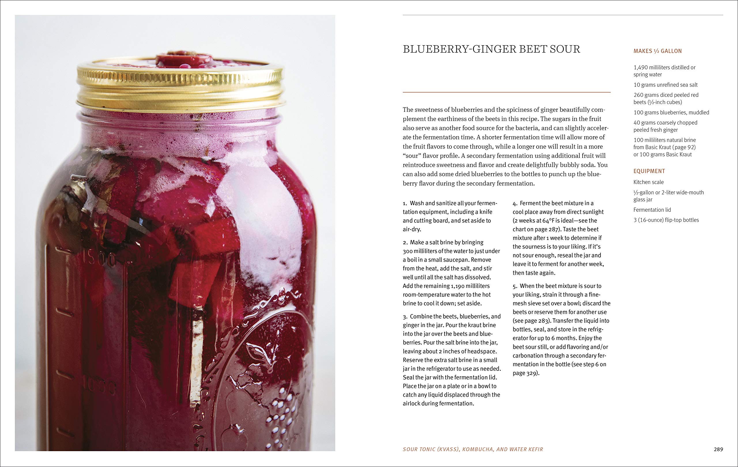 The Farmhouse Culture Guide to Fermenting: Crafting Live-Cultured Foods and Drinks with 100 Recipes from Kimchi to Kombucha[A Cookbook] The Farmhouse Culture Guide to Fermenting: Crafting Live-Cultured Foods and Drinks with 100 Recipes from Kimchi to Kombucha[A Cookbook] Hardcover Kindle Spiral-bound