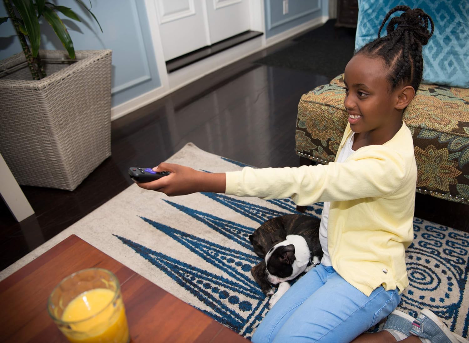 Roku Voice Remote (Official) for Roku Players and Roku TVs: Electronics