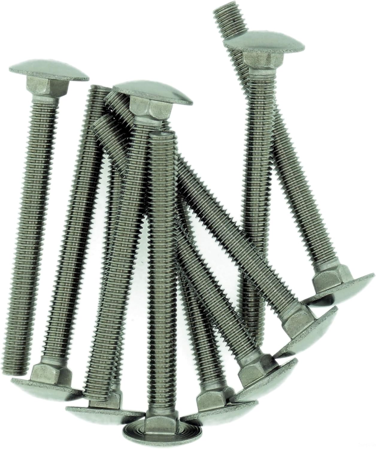 M8 (8mm x 30mm) Cup Square Carriage Bolt (Fully Threaded) - Stainless Steel (A2) (Pack of 10), M8x30 - A2 (10) - Image 3