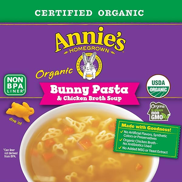 ANNIE’S ORGANIC BUNNY PASTA AND CHICKEN BROTH SOUP, 14 OZ
