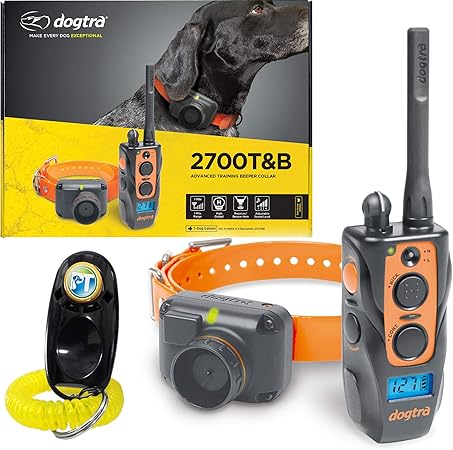 dogtra 2700