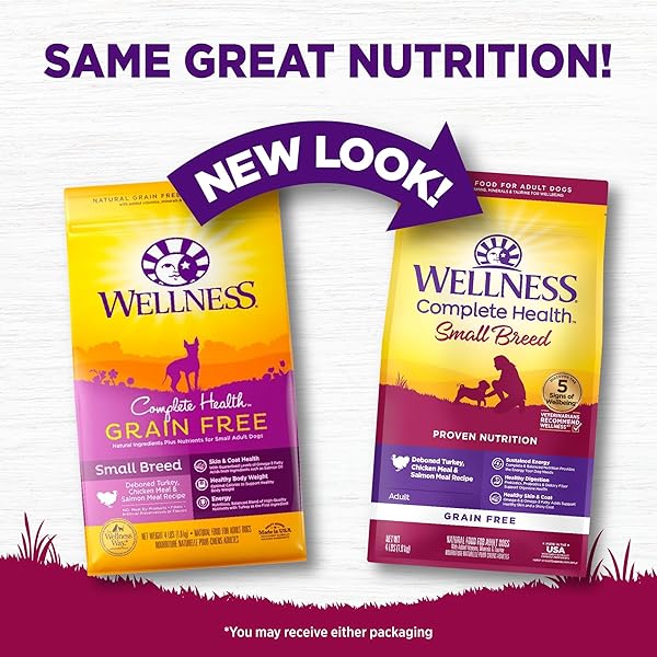 WELLNESS COMPLETE HEALTH DRY DOG FOOD, SMALL BREED, GRAIN FREE, NATURAL, TURKEY, CHICKEN, & SALMON RECIPE (4-POUND BAG)