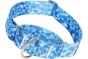 1.5 inch Martingale Collar for Dogs, Wide,Big&Thick Dog Collar，No-Slip Escape Proof Choke No Pull Cinch Collar for Medium Lar