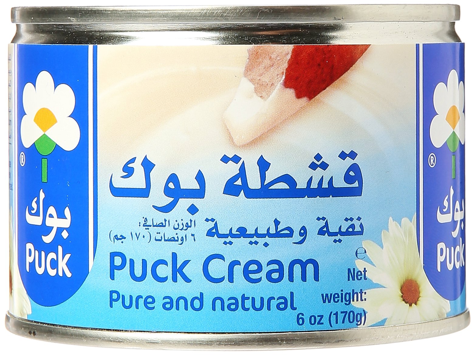 Cream Cheese Spread Puck (17.6oz) 500g