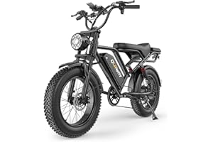 Qlaway 500W/750W Fat Tire Electric Dirt Bike for Adults, 48V 13.5AH/18AH Removable Battery 16"/20" Electric Motorcycle Ebikes with 31MPH Top Speed, 40-70 Miles Range, Full Suspension