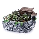 T4U 9" Country Landscape Style Big Space NO.1 Sucuulent Cactus Plant Pots Flower Pots Planters DIY Containers Window Boxes Grey