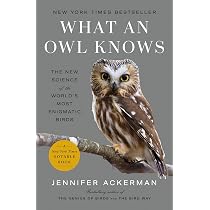 Owls of the World: A Photographic Guide | Amazon.com.br