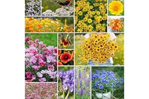 Eden Brothers Bird & Butterfly Wildflower Mixed Seeds for Planting, 1/4 lb, 120,000+ Seeds with Cosmos, Indian Blanket | Attracts Pollinators, Plant in Spring or Fall, Zones 3, 4, 5, 6, 7, 8, 9, 10