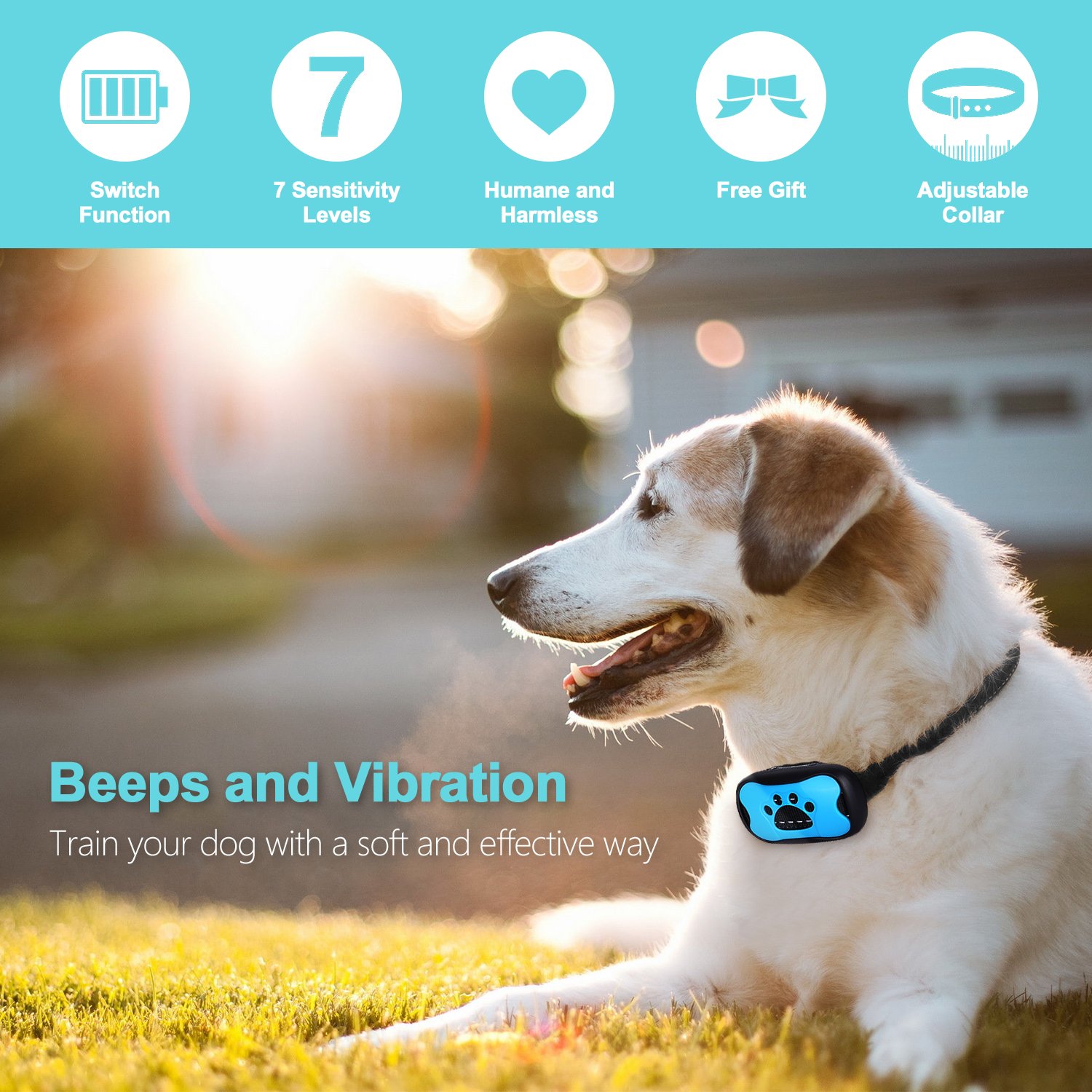 GoPetee Dog Anti Bark Collar Training with free LED light 7 Adjustable Levels No Bark Stop Puppy Barking Collar with Power On Off Auto Vibration Spare Batteries and Paw Shell Replacement Included for Small, Medium and Large Dogs