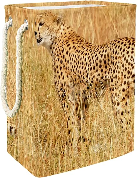 Cesto de la Ropa Pastizales de Leopardo Cesta De Almacenamiento