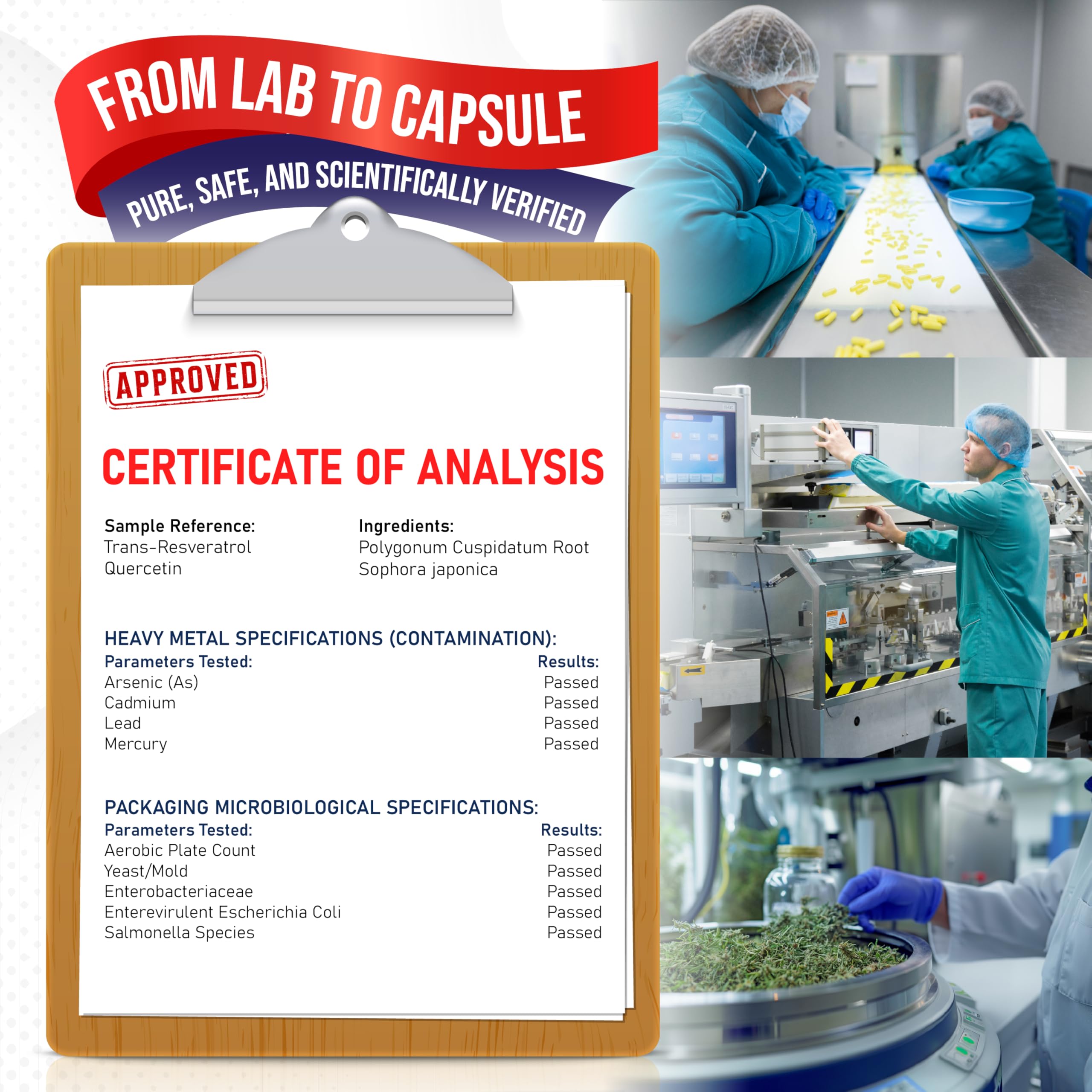 NAD+ 350mg with Trans-Resveratrol, Quercetin & Rhodiola – Cellular Energy, Healthy Aging & Heart Wellness – 90 Capsules – Non-GMO, Made in USA