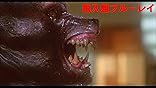 カスタマー画像