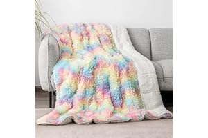 Cottonblue Faux Fur Weighted Blanket 15 lbs for Adult 48x72 Inches, Plush Shaggy Fluffy Throw Blanket Twin ​Size, Cozy Warm Furry Weighted Blanket for Couch Sofa Chair Home Decor, Rainbow
