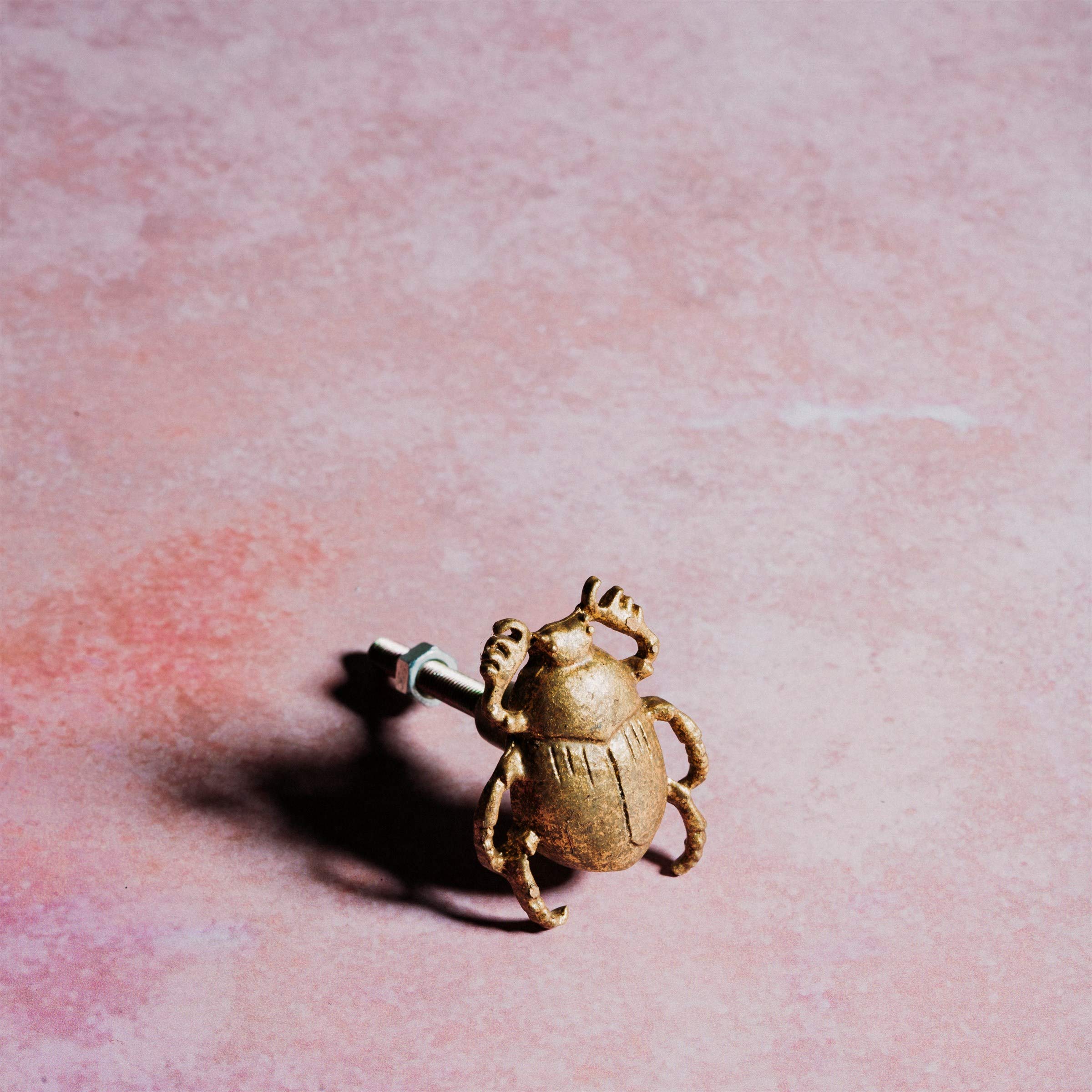 Sass & Belle Gold Scarab Beetle Drawer Knob