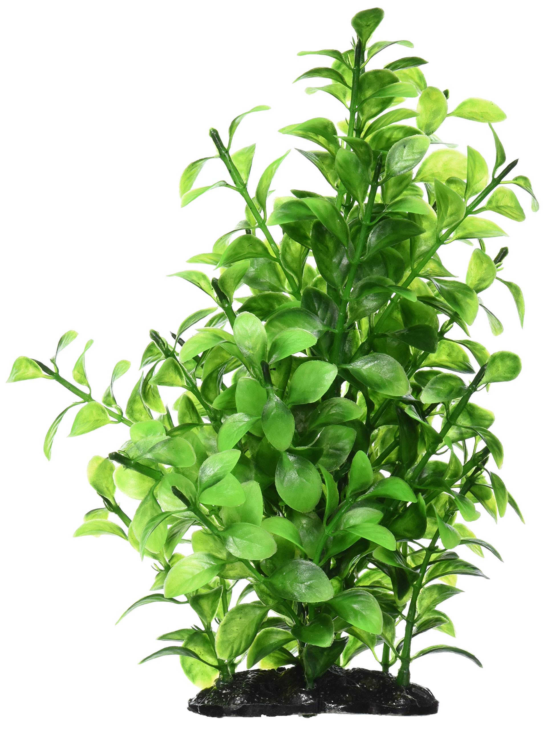 ジェックス 癒し水景 たっぷりハイグロフィラ ボリュームの商品画像