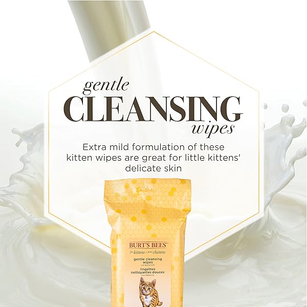 BURT’S BEES FOR PETS KITTEN GROOMING WIPES WITH BUTTERMILK AND HONEY, WATERLESS CAT BATH WIPES FOR FACE, PAWS, TAIL AND COAT CLEANING, GENTLE BATH ALTERNATIVE FOR INDOOR FELINES, 50 COUNT