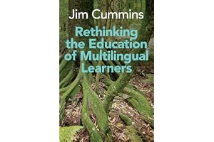 Rethinking the Education of Multilingual Learners: A Critical Analysis of Theoretical Concepts (Linguistic Diversity and Language Rights, 19)