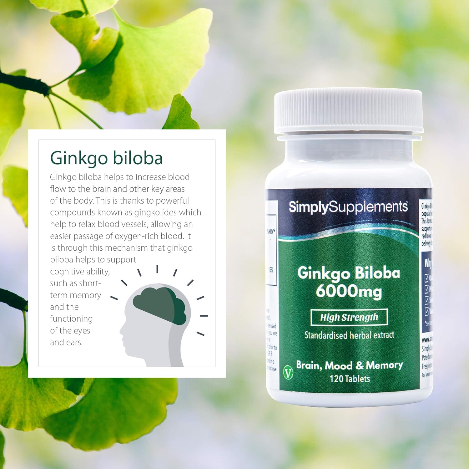 Ginkgo Biloba Tablets 6000mg (120 Tabs): Health & Personal Care