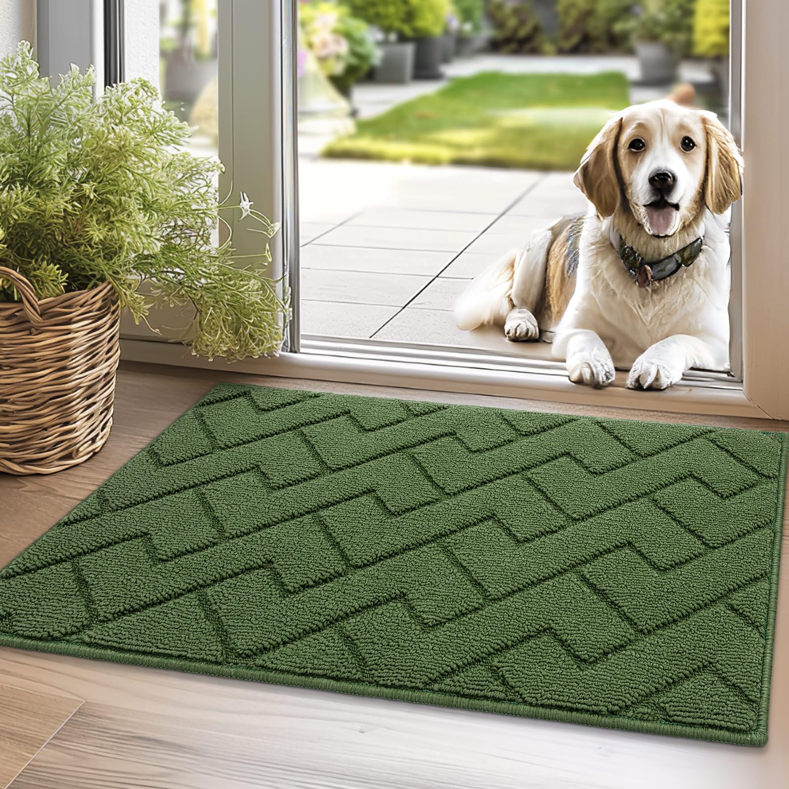 Biscpro Door Mats Indoor,Dirt Trapper Mat Absorbent Non-Slip Low Profile Doormat for Entrance,Inside,Kitchen,Front Door Mat Washable for Pets and Dogs—50x80cm,Green — image 1