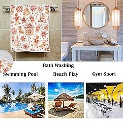 Pfrewn Winter Christmas Hand Towels for Bathroom