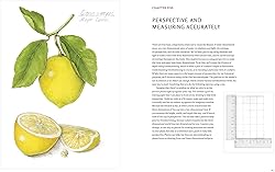 The Joy of Botanical Drawing: A Step-by-Step Guide