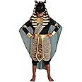 Boys Anubis Halloween Costume | Kids Egyptian God Pharaoh Outfit | Includes Shirt, Pants, Belt with Drape, and Accessories