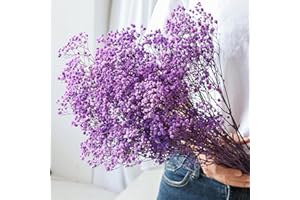 beerfingo Dried-Flowers-Babys-Breath-Bouquet-17.2 inch 2500+ Flowers, Natural Gypsophila Branches for Home Decor, Wedding, Table Decor, DIY Wreath Floral, Dry Flowers Bulk for Vase (Purple)
