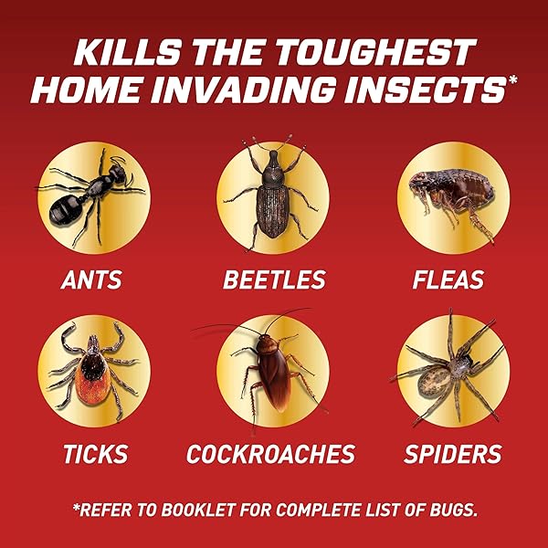 ORTHO HOME DEFENSE INSECT KILLER FOR INDOOR AND PERIMETER REFILL2, CONTROLS ANTS, ROACHES, SPIDERS AND MORE, 1 GAL