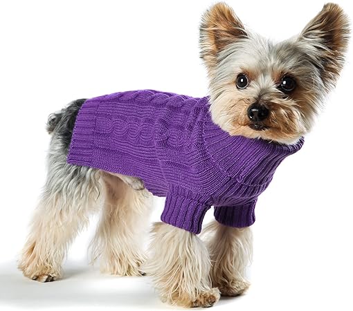 purple dog sweater