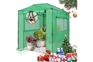 EAGLE PEAK Instant Pop-up Greenhouse, Indoor Outdoor Plant Gardening Green House, Roll-Up Zipper Doors and Side Windows, Walk in 8x6 ft, PE Cover, Green/Clear