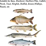 Dr.Fish Silver Minnow Spoon Lures Set of 3 60g Sea Fishing Tackle view 6