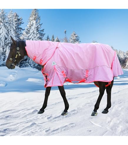 Amazon.com : Horse Turnout Blanket,1600D Waterproof Medium