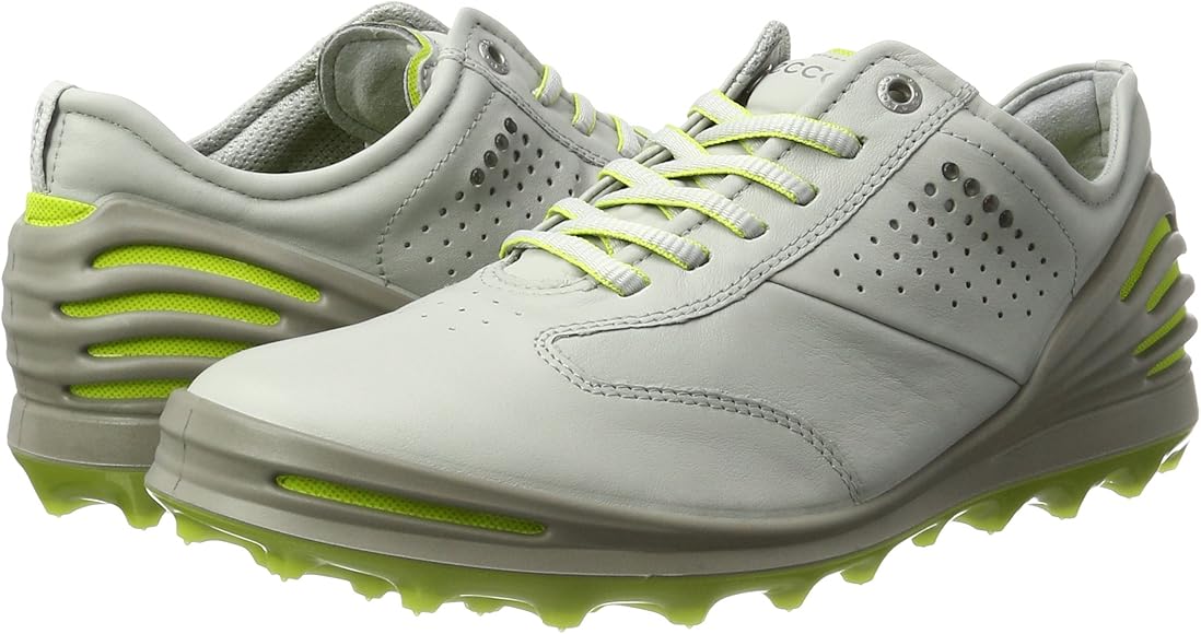 ecco cage pro gtx