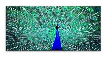 Peacock Canvas Blue Green Bird Animals Panorama Wall Art Picture Decor Living Room Bathroom Art Bedroom Kitchen Picture Single Panel 20 X 9 51 Cm